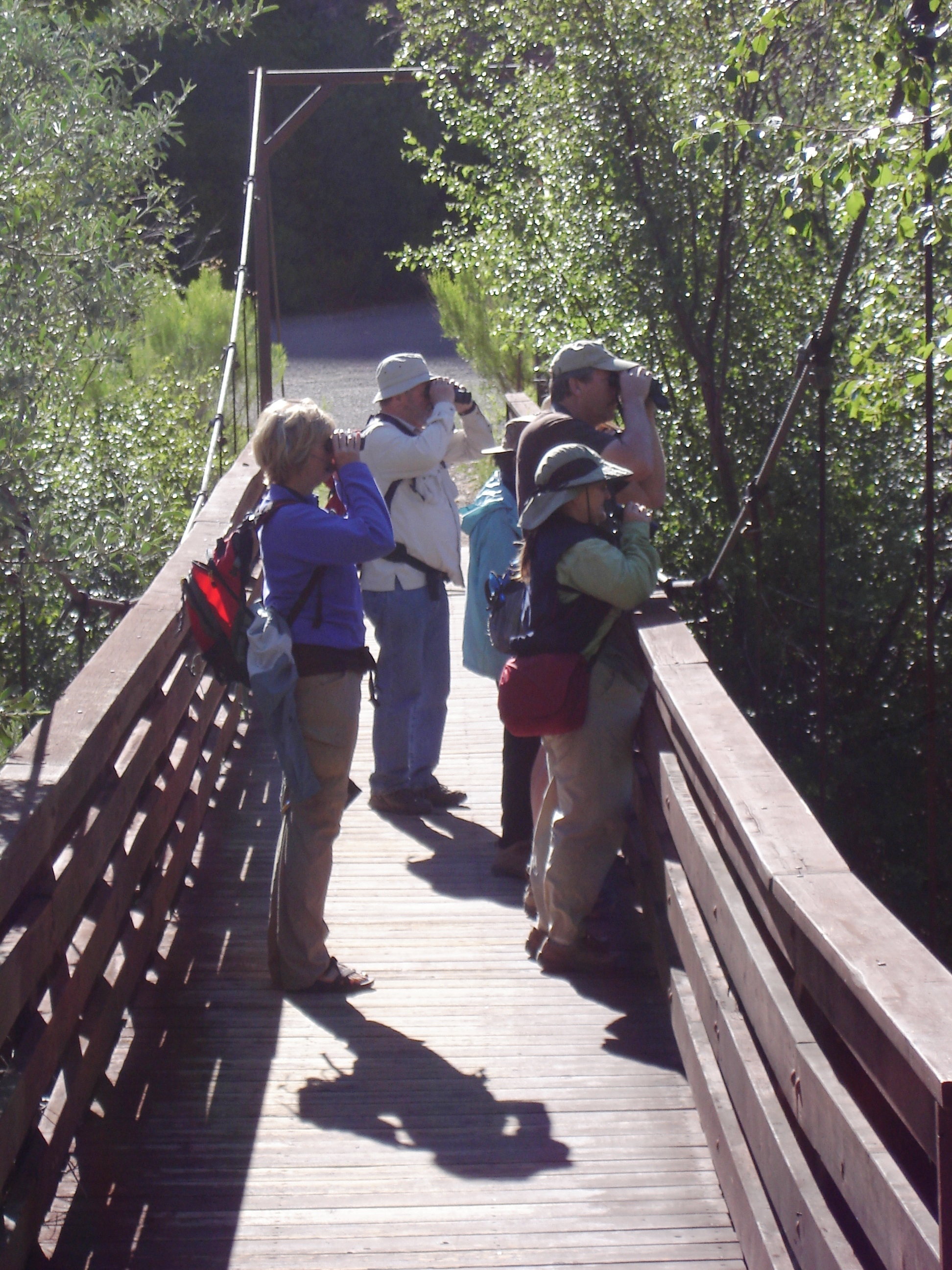 Birding in Boulder